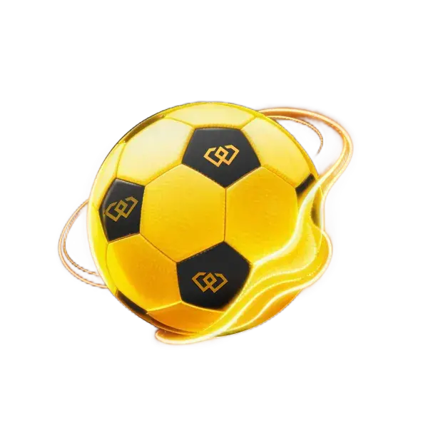 Ortak markalı futbol topları